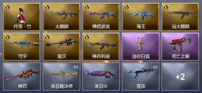穿越火线（CF）6V武器 1V角色 5皮肤 可排位 专家