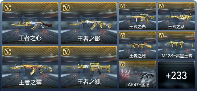 穿越火线：枪战王者V8 28王者武器 242英雄武器 11英雄角色 487万化 大师