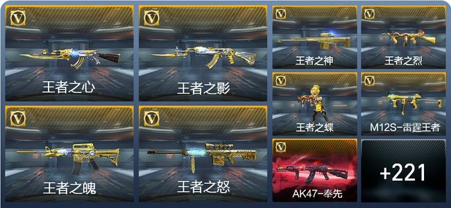 穿越火线：枪战王者17王者武器 230英雄武器 6英雄角色 349万化 专家S