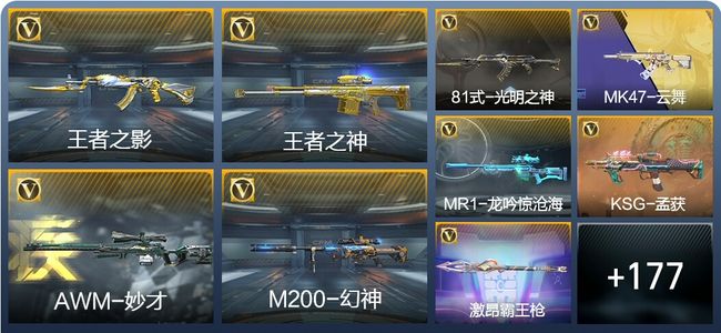 穿越火线：枪战王者V4 6王者武器 204英雄武器 3英雄角色 377万化 枪皇