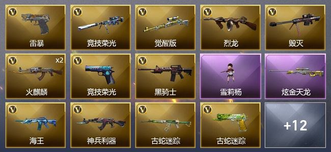 穿越火线（CF）1炫金武器 24V武器 1V角色 14皮肤 可排位 传奇