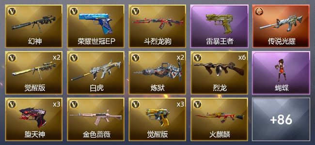 穿越火线（CF）1传说武器 9王者武器 2炫金武器 138V武器 5V角色 33皮肤 可排位 枪王