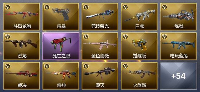 穿越火线（CF）4王者武器 63V武器 2V角色 13皮肤 可排位 专家
