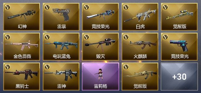 穿越火线（CF）36V武器 2V角色 16皮肤 可排位 新锐