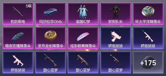 和平精英1载具 1升级枪 2粉装 113枪皮 89套装 30544热力 10印记