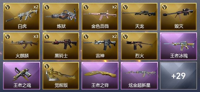 穿越火线（CF）8王者武器 1炫金武器 32V武器 1V角色 21皮肤 可排位 枪王