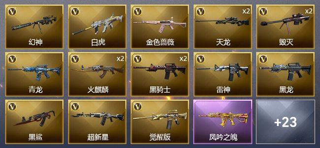 穿越火线（CF）6王者武器 2炫金武器 35V武器 17皮肤 可排位 新锐