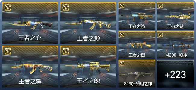 穿越火线：枪战王者V8 23王者武器 232英雄武器 11英雄角色 496万化 枪王