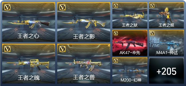 穿越火线：枪战王者13王者武器 214英雄武器 6英雄角色 327万化 专家S
