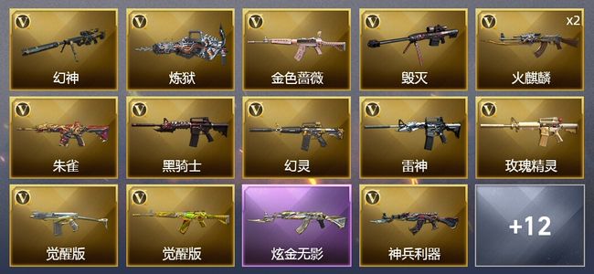 穿越火线（CF）1炫金武器 30V武器 11皮肤 可排位 新锐