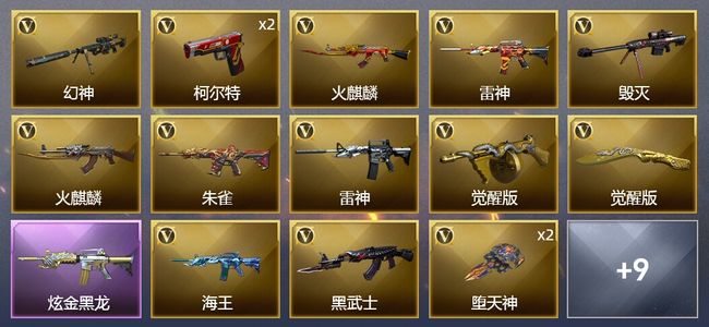穿越火线（CF）1炫金武器 22V武器 1V角色 11皮肤 可排位 枪王