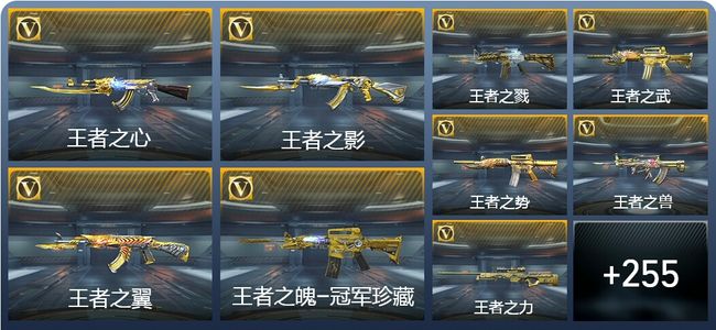 穿越火线：枪战王者V9 36王者武器 283英雄武器 11英雄角色 655万化 枪圣