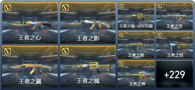 穿越火线：枪战王者V9 28王者武器 245英雄武器 10英雄角色 599万化 大师