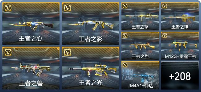 穿越火线：枪战王者V6 25王者武器 233英雄武器 4英雄角色 507万化 大师SS