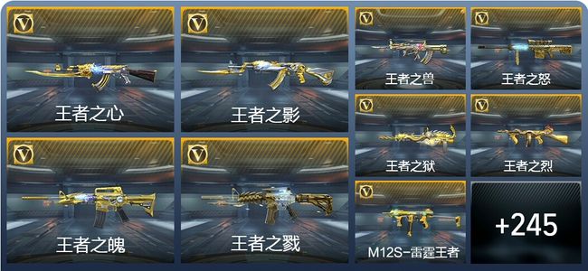 穿越火线：枪战王者V9 25王者武器 254英雄武器 13英雄角色 481万化 大师SS