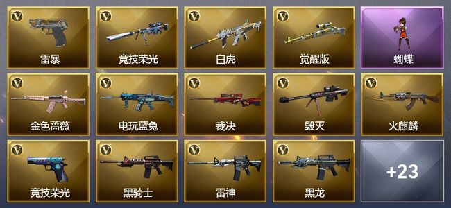 穿越火线（CF）40V武器 3V角色 13皮肤 可排位