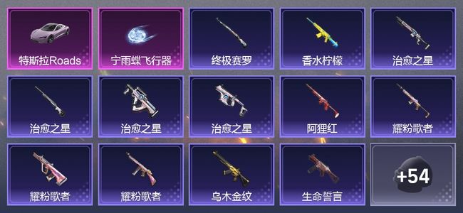 和平精英1载具 1尾迹 48枪皮 29套装 14202热力