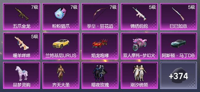 和平精英5载具 6升级枪 11粉装 2飞行器 213枪皮 162套装 73833热力 13印记 王牌