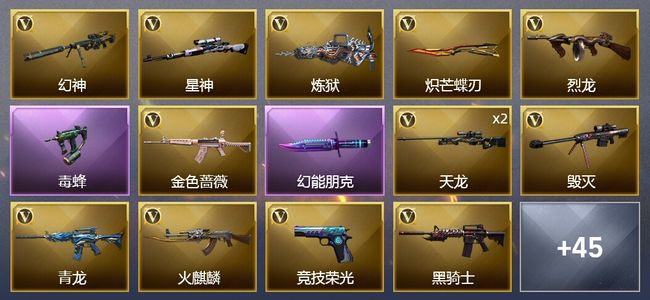 穿越火线（CF）2王者武器 69V武器 3V角色 23皮肤 可排位