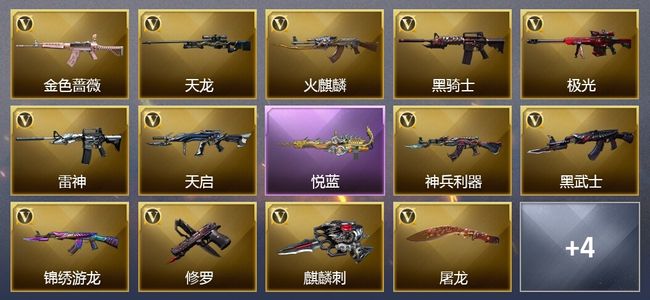 穿越火线（CF）1王者武器 13V武器 6皮肤 可排位 新锐
