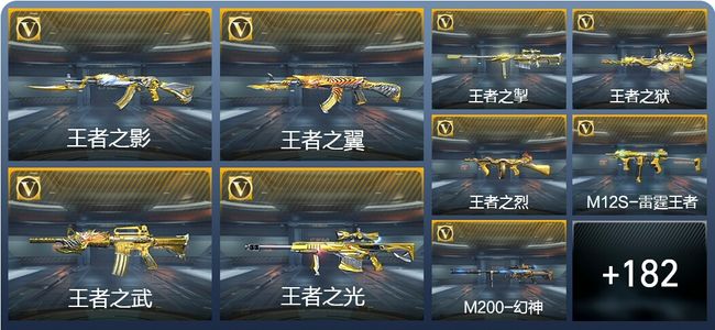 穿越火线：枪战王者14王者武器 191英雄武器 8英雄角色 283万化 专家S