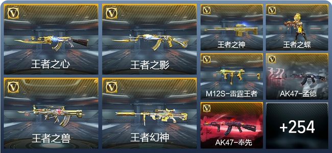 穿越火线：枪战王者36王者武器 263英雄武器 8英雄角色 432万化 专家S