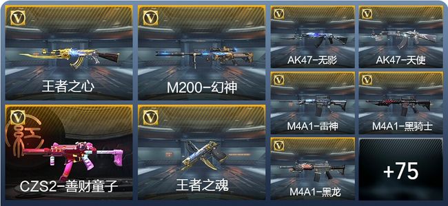 穿越火线：枪战王者V5 4王者武器 84英雄武器 1英雄角色 146万化 专家