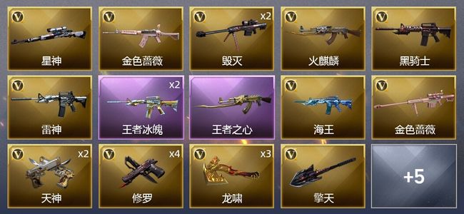 穿越火线（CF）2王者武器 21V武器 6皮肤 可排位