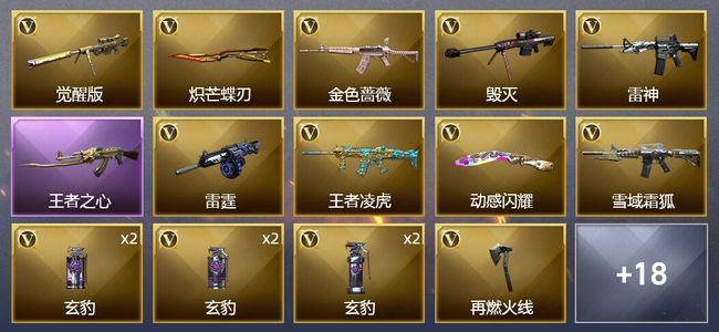 穿越火线（CF）1王者武器 24V武器 1V角色 6皮肤 可排位 专家