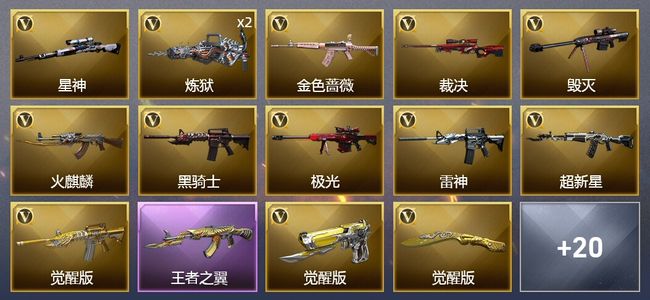 穿越火线（CF）1王者武器 3炫金武器 25V武器 1V角色 2皮肤 可排位 荣耀之巅