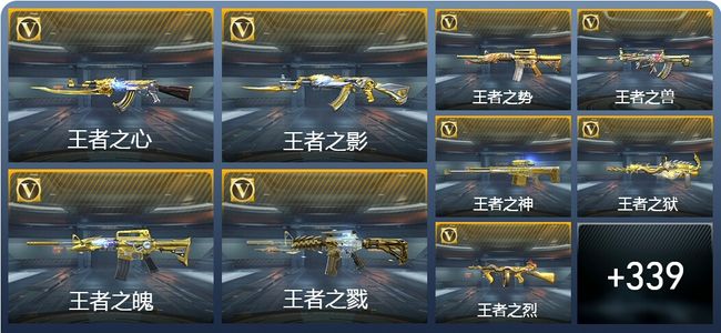 穿越火线：枪战王者25王者武器 348英雄武器 11英雄角色 556万化 专家S