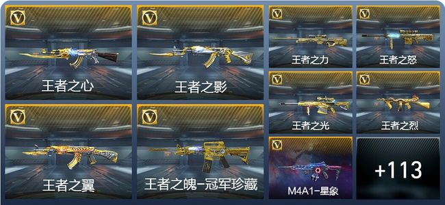 穿越火线：枪战王者V9 15王者武器 124英雄武器 10英雄角色 262万化 大师SS