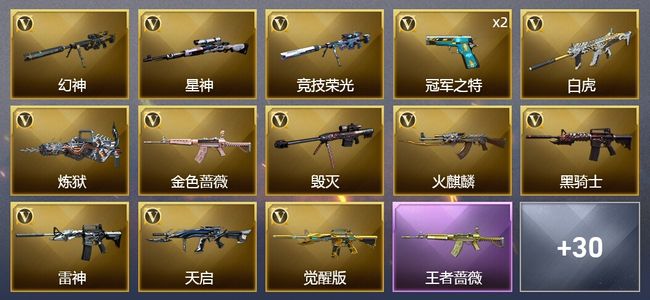 穿越火线（CF）1王者武器 42V武器 5V角色 19皮肤 可排位