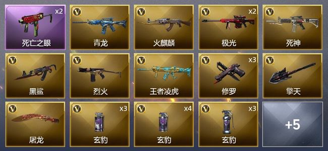 穿越火线（CF）25V武器 2V角色 5皮肤 可排位 新锐