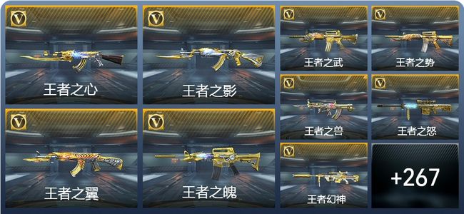 穿越火线：枪战王者37王者武器 276英雄武器 12英雄角色 598万化 枪皇