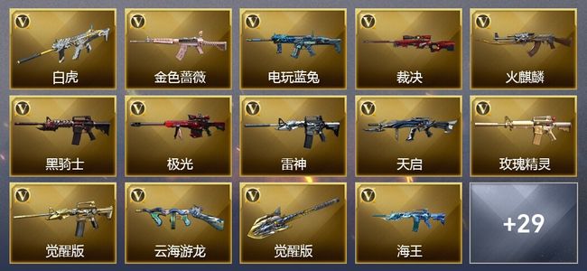穿越火线（CF）33V武器 14皮肤 可排位 新锐