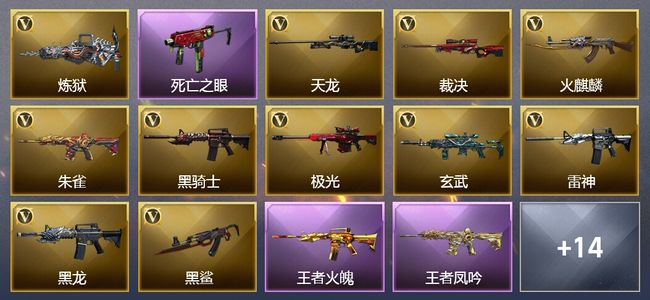 穿越火线（CF）6王者武器 1炫金武器 33V武器 2V角色 8皮肤 可排位