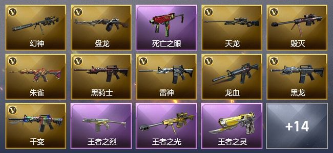 穿越火线（CF）5王者武器 2炫金武器 59V武器 1V角色 9皮肤 可排位