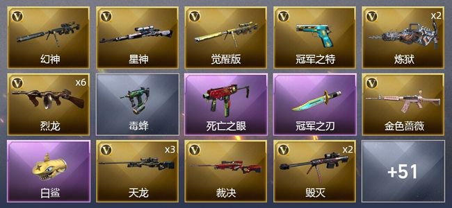 穿越火线（CF）9王者武器 4炫金武器 66V武器 4V角色 19皮肤 可排位 传奇