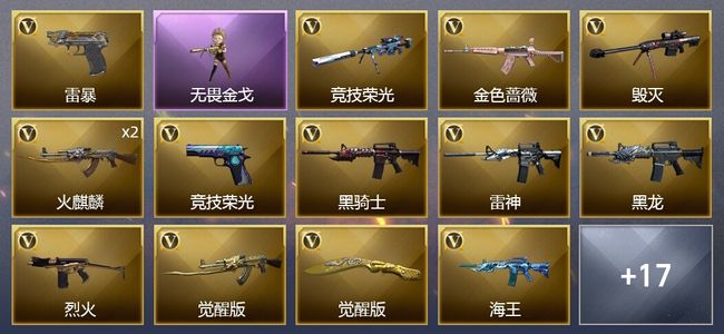 穿越火线（CF）1王者武器 54V武器 1V角色 8皮肤 可排位