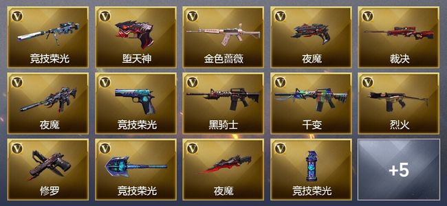 穿越火线（CF）2王者武器 1炫金武器 75V武器 1V角色 10皮肤 可排位