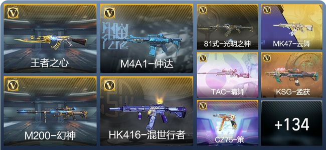 穿越火线：枪战王者V3 9王者武器 165英雄武器 5英雄角色 219万化 大师