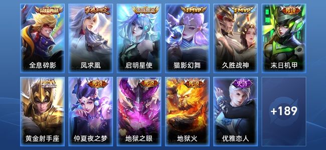 王者荣耀V8 1典藏 9传说 49史诗 200皮肤 119英雄 尊贵铂金II