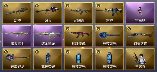 穿越火线（CF）17V武器 1V角色 2皮肤 可排位