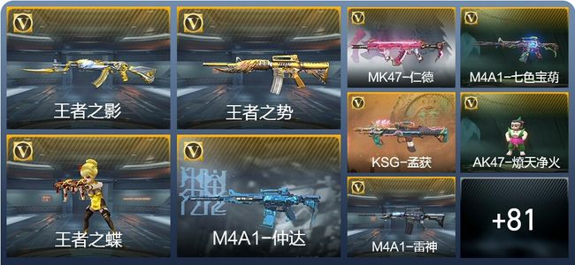 穿越火线：枪战王者V5 4王者武器 102英雄武器 4英雄角色 192万化 枪皇