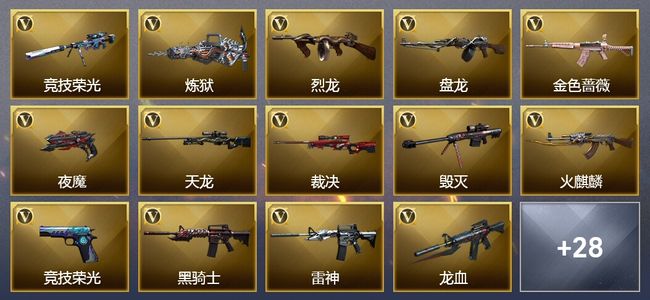 穿越火线（CF）12王者武器 1炫金武器 60V武器 6V角色 10皮肤 可排位