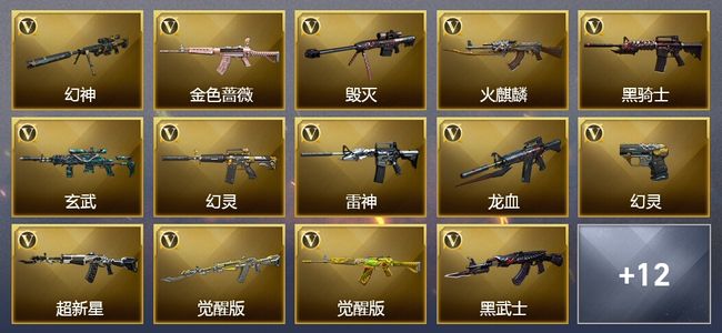 穿越火线（CF）8王者武器 28V武器 21V角色 12皮肤 可排位