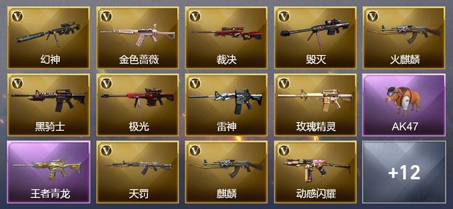 穿越火线（CF）2王者武器 27V武器 11V角色 5皮肤 可排位