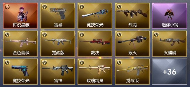 穿越火线（CF）1传说角色 1传说武器 6王者武器 48V武器 20V角色 17皮肤 可排位