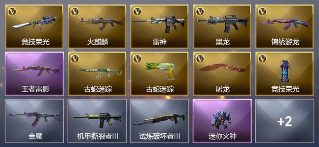 穿越火线（CF）2王者武器 8V武器 11V角色 1皮肤 可排位